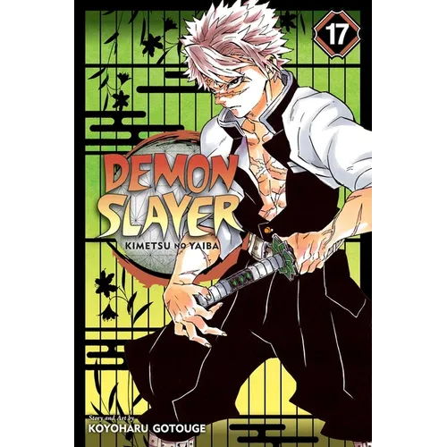 Demon Slayer: Kimetsu No Yaiba, Vol. 17: Successors
