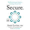 Secure: The Revolutionary Guide to Creating a Secure Life