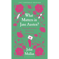 What Matters in Jane Austen?: Twenty Essential Questions Answered
