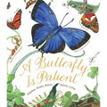 A Butterfly Is Patient