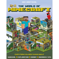 The World of Minecraft