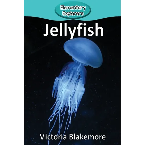 Jellyfish