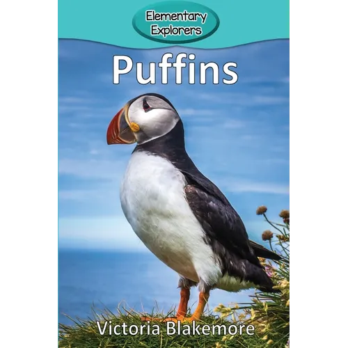 Puffins