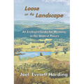 Loose on the Landscape