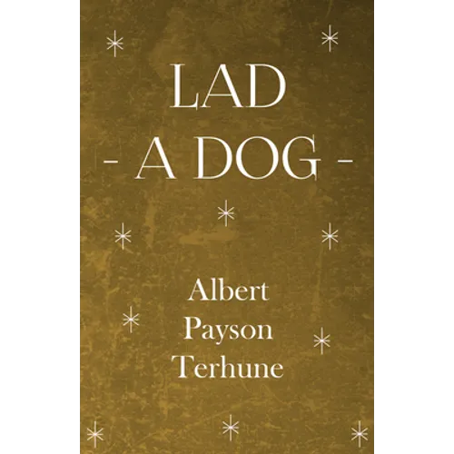 Lad - A Dog