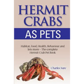 Hermit Crab Care