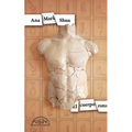 Cuerpo Roto, El