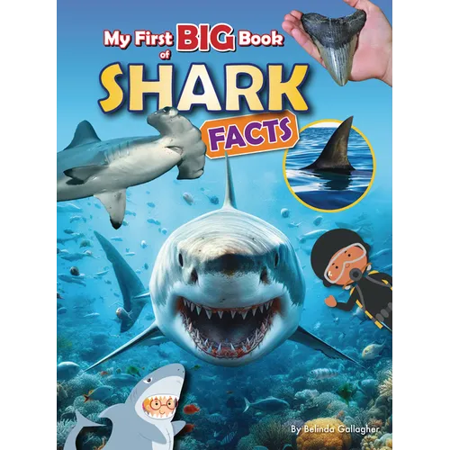 My First Big Book of Shark Facts