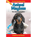 Animal Mayhem: When Wild Things Go Wilder