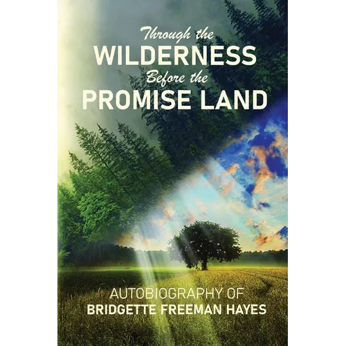 Through the Wilderness Before the Promise Land