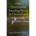One Dimensional Standing Waves in Classical and Quantum Mechanics