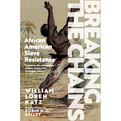Breaking the Chains: African American Slave Resistance