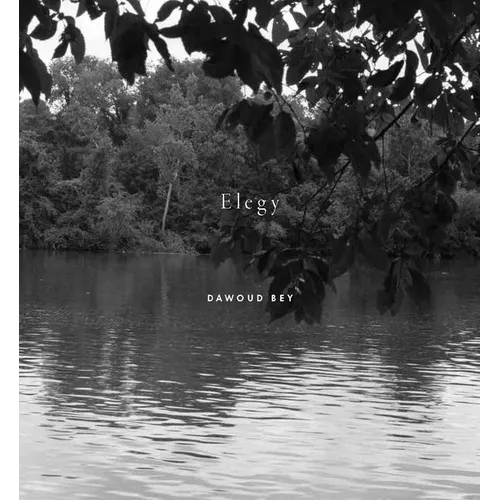 Dawoud Bey: Elegy