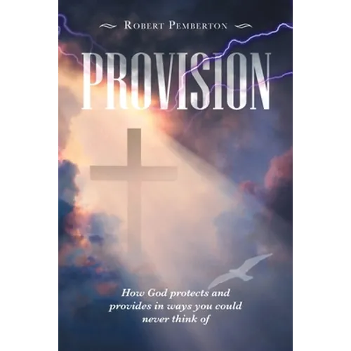 Provision: How God Protects and Provides in Ways You Could Never Think Of