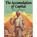 The Accumulation of Capital
