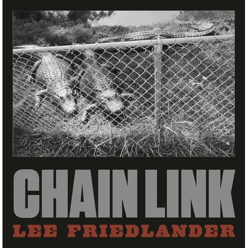 Lee Friedlander: Chain Link