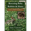 Rescuing Baby Rabbits & Hares: Guide for Wildlife Rehabilitators