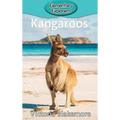 Kangaroos