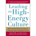 Leading the High Energy Culture: What the Best Ceos Do to Create an Atmosphere Where Employees Flourish