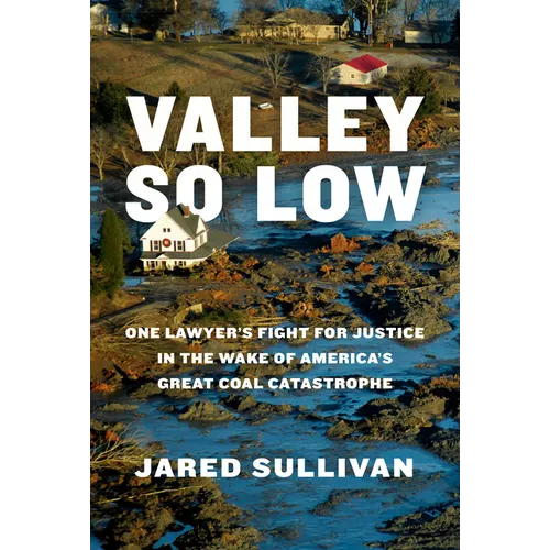 Valley So Low: One Lawyer's Fight for Justice in the Wake of America's Great Coal Catastrophe