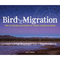 Bird Migration: The Incredible Journeys of North American Birds