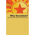 Why Socialism?