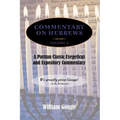 Commentary on Hebrews: Exegetical and Expository - Vol. 2 (8-13)