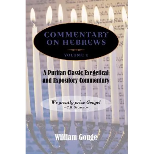 Commentary on Hebrews: Exegetical and Expository - Vol. 2 (8-13)