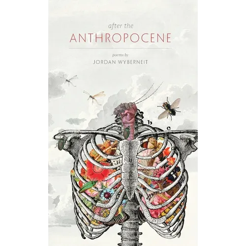 After the Anthropocene