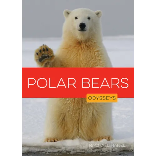 Polar Bears