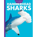 Curious about Hammerhead Sharks