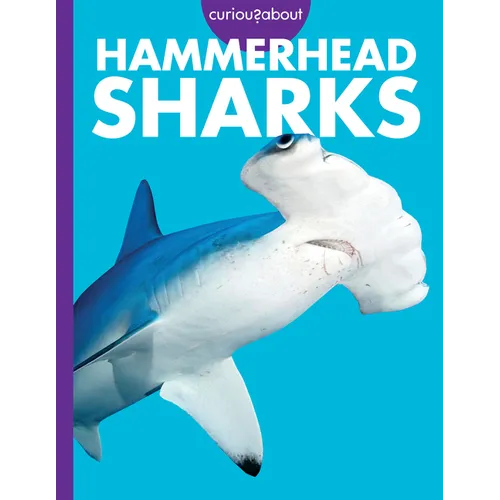 Curious about Hammerhead Sharks