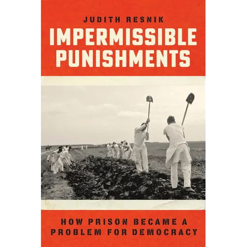 Impermissible Punishments: How Prison Became a Problem for Democracy