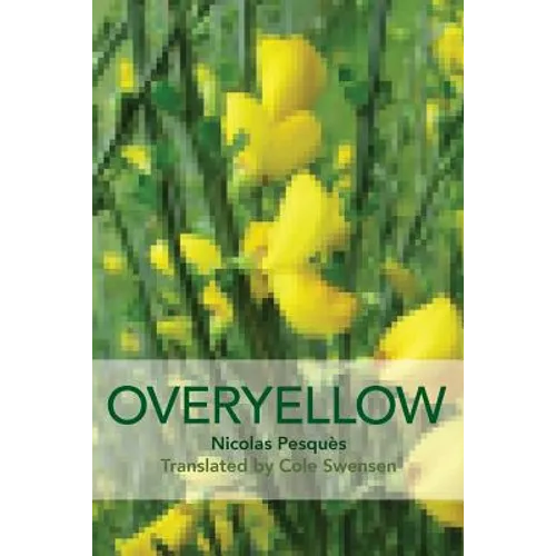 Overyellow: The Poem as Installation Art