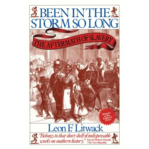 Been in the Storm So Long (Pulitzer Prize Winner): The Aftermath of Slavery