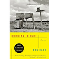 Burning Bright: Stories