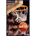 Sweetwater: A Biography of Nathaniel "Sweetwater" Clifton