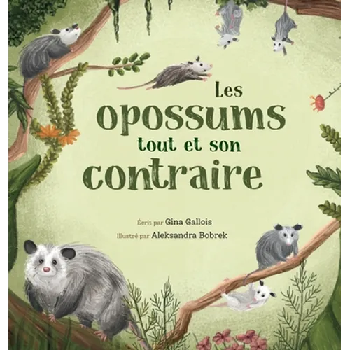 Les opossums: tout et son contraire