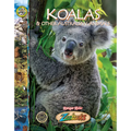 Koalas and Other Australian Animals