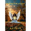 Poetry for Angels