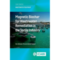 Magnetic Biochar for Wastewater Remediation in the Textile Industry