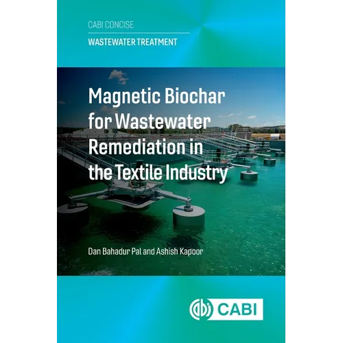 Magnetic Biochar for Wastewater Remediation in the Textile Industry