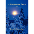 A Winter on Earth