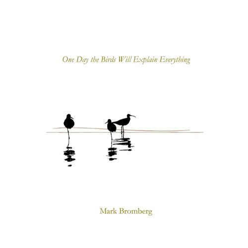 One Day the Birds Will Explain Everything