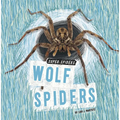 Wolf Spiders