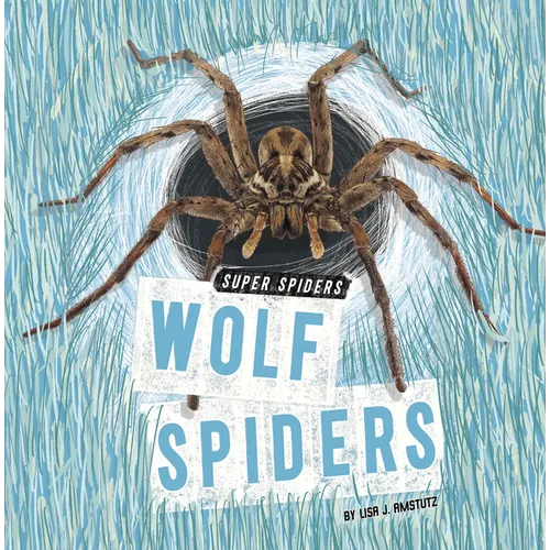 Wolf Spiders