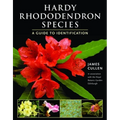 Hardy Rhododendron Species: A Guide to Identification