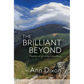 The Brilliant Beyond