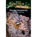 Snow Leopards and Other Wild Cats