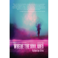 Where the Soul Goes
